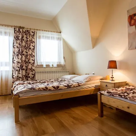 Pokoje U Hanki Apartment Murzasichle Exterior photo